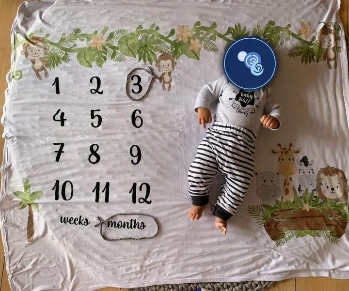 Milestone Blanket